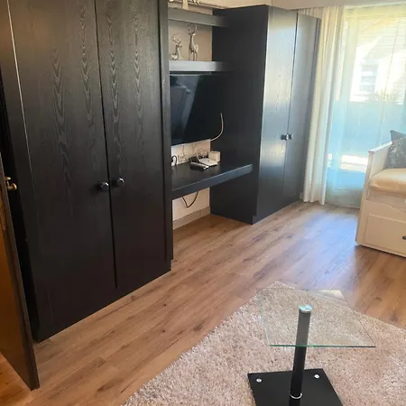 Andys Enzian Lägenhet Leutasch