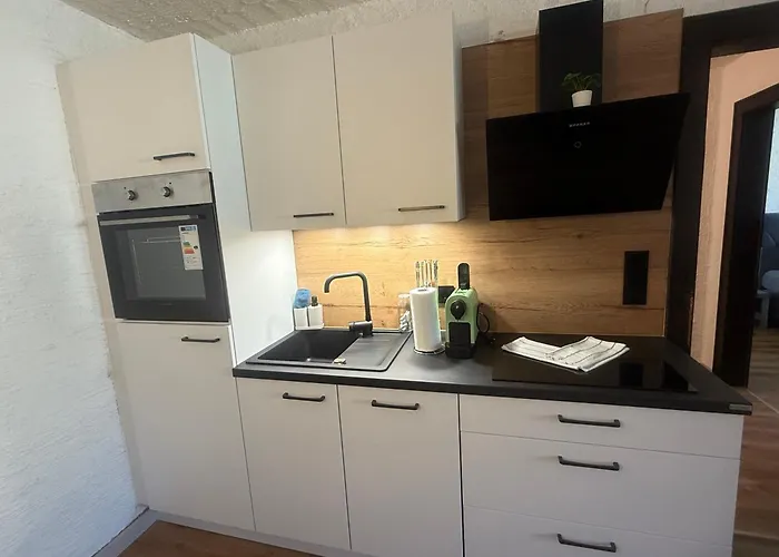 Andys Enzian * لوتاش